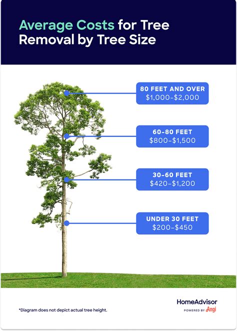 Average price for tree removal. How much tree removal costs varies depending on trees height and location. Tree removal cost ranges from $450 to $1,250 with the avg being $871. 