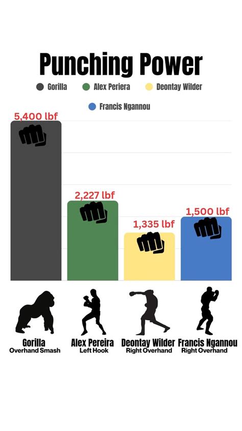 Average punch force of a man in kg. .  ...
