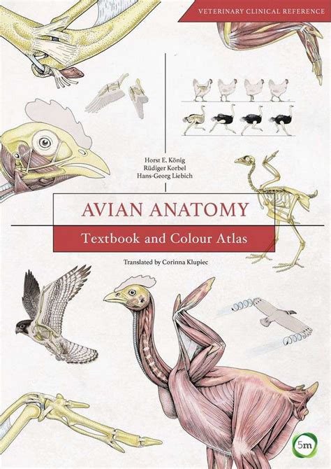 Avian anatomy textbook and colour atlas second edition. - Pic robotics a beginners guide to robotics projects using the pic micro.
