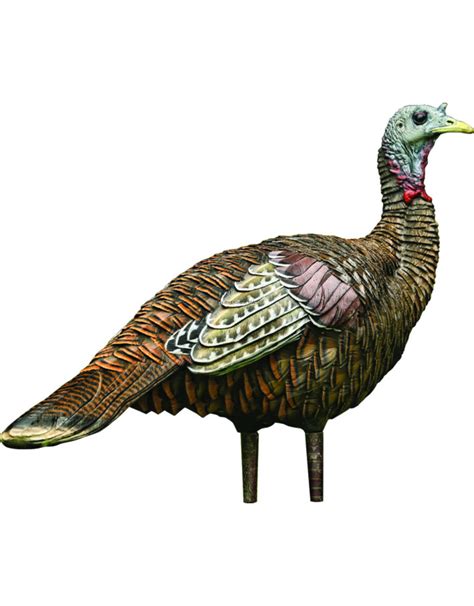 Avian-X 8006 LCD Lookout Turkey Decoy for sale online …