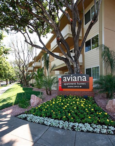 Aviana apartments. It’s time to introduce you to the highlights of our Mountain View, California, apartments. Available in studio, one, and two-bedroom layouts that come in classic or renovated … 