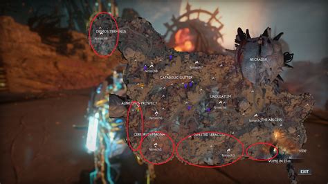 I found that NOT using lures and tracking is the best/easiest/most efficient way to farm critters. Use your Archwing and switch to the tranq gun. Fly in slow mode when you get close. Leave, come back. Rinse, repeat. Embrace the grind. Avichaea will spawn on top, in the ceiling of the cave, or under the mid-levels of the outside of the Cerebrum .... 