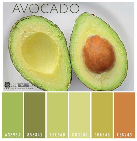 Avocado Color Chart