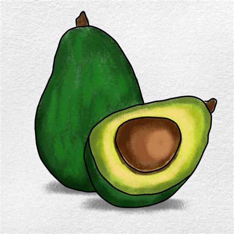 Avocado Drawing