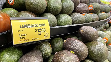 Avocado Price California