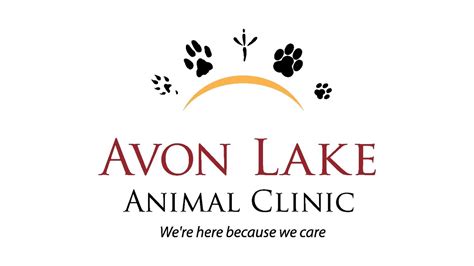 Avon lake animal clinic. Things To Know About Avon lake animal clinic. 