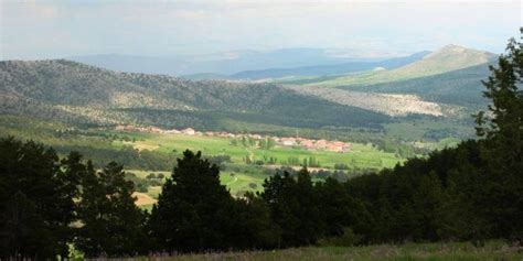 Avsaralani Halı ve Koltuk Yıkama