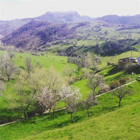 Avsarbeyli Halı ve Koltuk Yıkama