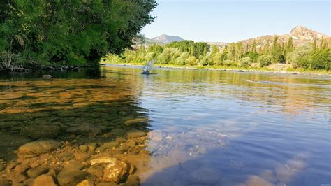 Avutmus Halı ve Koltuk Yıkama