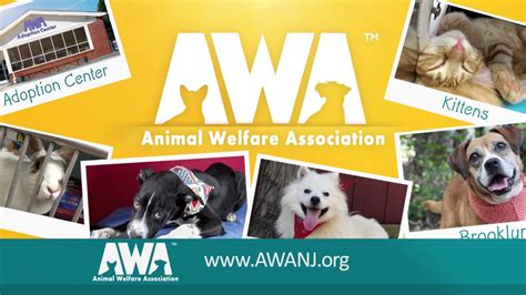 Awa animal welfare association. Public group. 65,440 members. This group is to be used as a tool for helping animals in NJ or the surrounding area only. When making a post please provide the location, gender, if fixed and up-to-date on shots, good with other animals or children. Add a name or link to the rescue or shelter where the animal is located. 