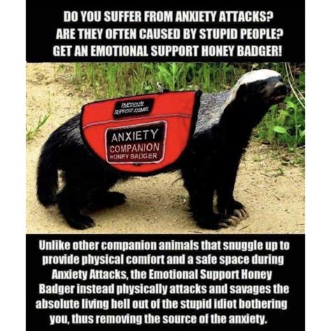 Awasome Honey Badger Emotional Support Animal Meme Ideas