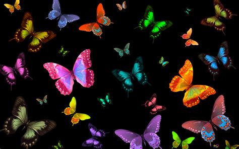 Awesome Butterfly Laptop Wallpapers