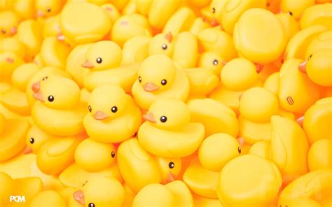 Awesome Cute Yellow Ducks Wallpapers - WallpaperAccess