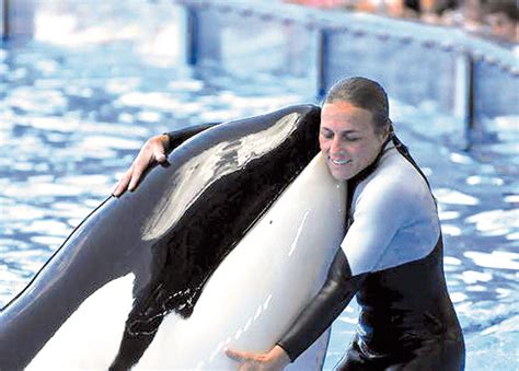 Tilikum, the 12,000-pound whale that killed trainer Dawn Brancheau on Wednesday, did not participate in the show. Below is a video which includes the last recorded footage of Dawn Brancheau before .... 