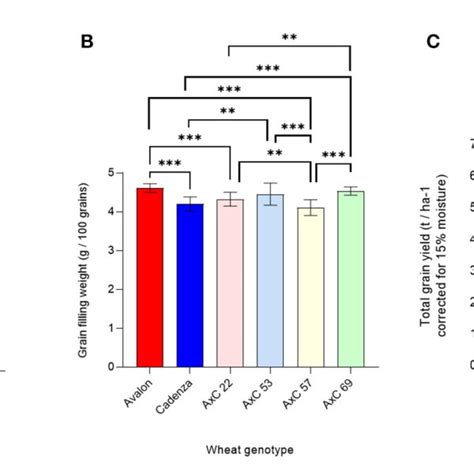 Axccc Onlyfans Leak [SEX VIDEO] 114 Photos