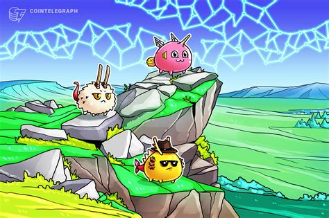 axie infinity wallet image 4