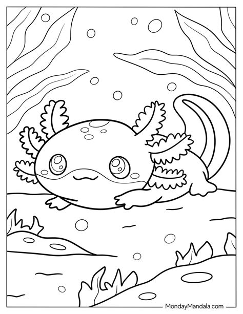Axolotl Coloring Shee