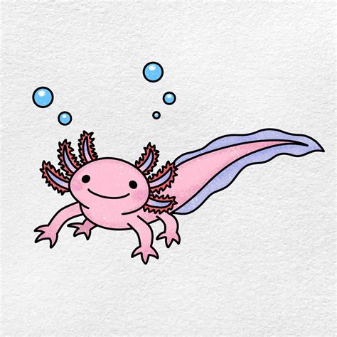 Axolotl drawing. Things To Know About Axolotl drawing. 