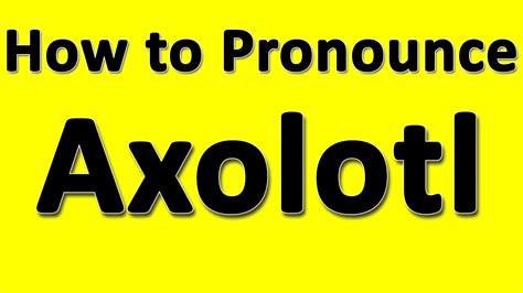Axolotl pronounce. Things To Know About Axolotl pronounce. 