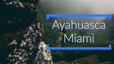 Ayahuasca retreat miami. Things To Know About Ayahuasca retreat miami. 