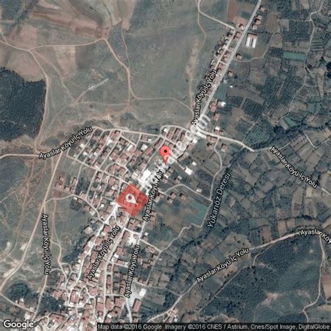 Ayaslar Halı ve Koltuk Yıkama