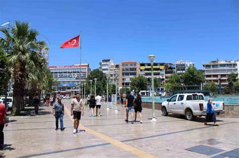 Aydın Efeler terapi halı yıkama