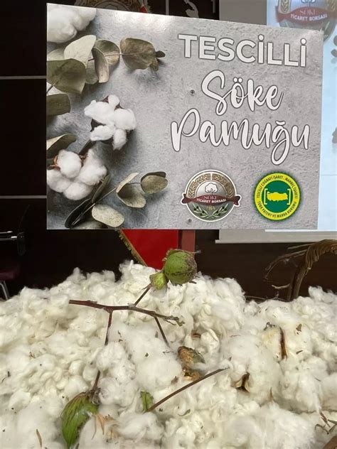 Aydın Soke terapi halı yıkama