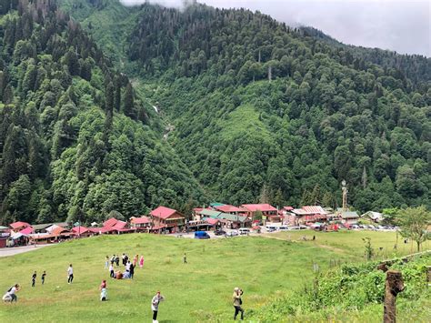 Ayder Halı ve Koltuk Yıkama