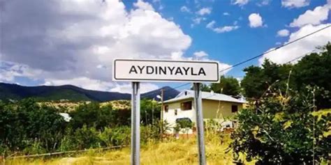 Aydinyayla Halı ve Koltuk Yıkama