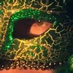 Ayeereynaa1 Leaks +18 🍑