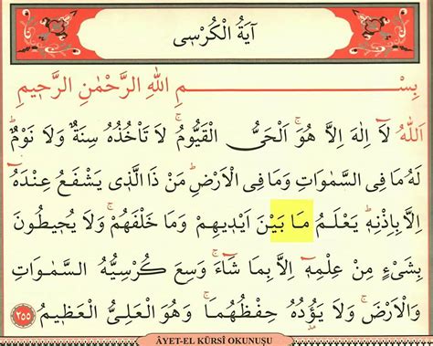 veodersti.rgarabwor.edu.pl. 