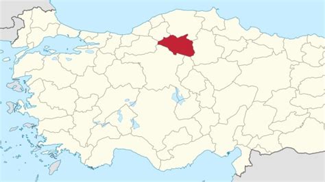 Ayseki Halı ve Koltuk Yıkama