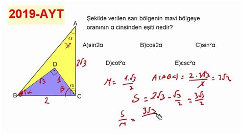 Ayt matematik geometri soru sayısı