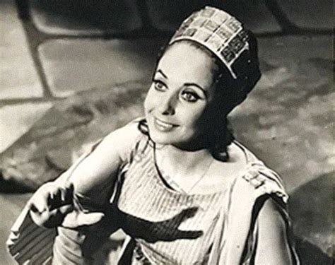 Ayten Halı ve Koltuk Yıkama