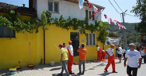 Ayvakoy Halı ve Koltuk Yıkama