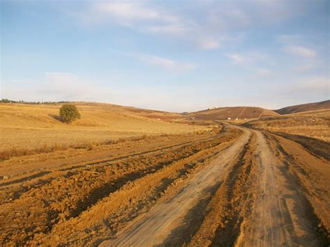 Azattepe Halı ve Koltuk Yıkama