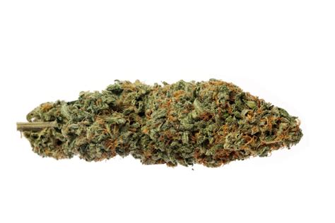 Runtz Muffin is an indica dominant hybrid strain (70% indica/30% sativa) created through crossing the tasty Zkittlez X Gelato strains. The perfect tasty treat to have you feeling kicked back and relaxed from head to toe, Runtz Muffin packs an amazing flavor and long-lasting effects. This bud has a sweet and sugary nutty muffin flavor with hints ... . 