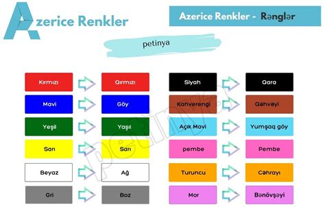 codini.rgarabwor.edu.pl. 