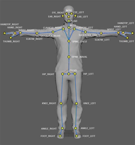 Azure kinect body tracking download.  Head over to the Quick-Start Development Library for a ...