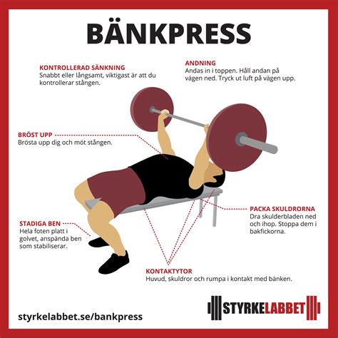 Bänkpress muskler