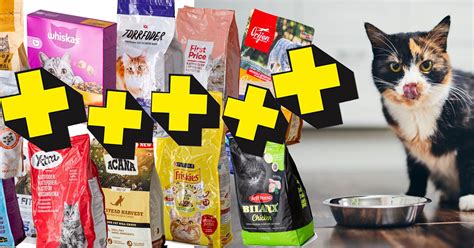 Bästa torrfoder kattunge