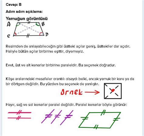 Bütün dik açılar birbirine eşittir.