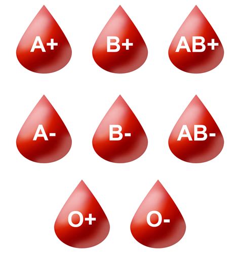 B+ab. Sep 15, 2023 · The ABO system has four major blood types: A, B, AB, and O. Blood types are further categorized by the presence (positive or +) or absence (negative or -) of the Rh(D) antigen on the surface of their red blood cells, also known as the Rh factor. This produces the eight major blood types. 