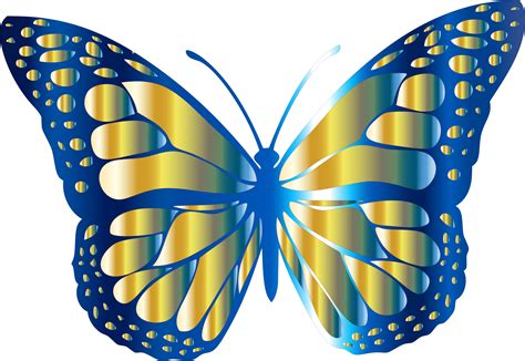 B butterfly Images Free Vectors, Stock Photos & PSD