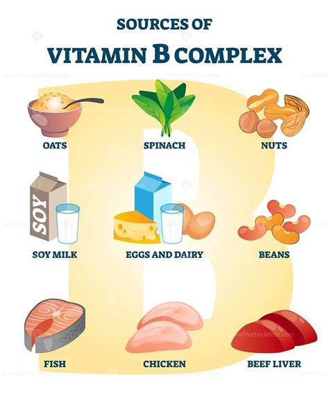 B food. Vitamin B Food Sources. Animal-derived foods and meat are major sources of several of the B vitamins, for example: poultry, liver, fish, shellfish, and eggs. Vitamin B12, for instance, is only found in animal products. Plant sources of B vitamins include whole grains, potatoes, beans, and lentils. Green leafy vegetables are particularly high in ... 