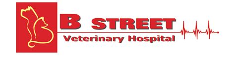 B street vet. Specialties: Each VCA hospital has health and safety protocols in place based on health care best practices as well as state and local guidance and regulations. Established in 1967. VCA Main Street is the oldest veterinary hospital in San Diego and has been ensuring the health of San Diego pets since 1927. We are also the first animal hospital to have a Board Certified Specialist on staff. We ... 