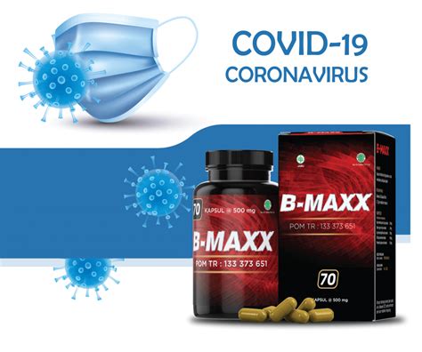 B-MAXX SINERGI – Herbal REGENERASI Sel untuk ORGAN Optimal