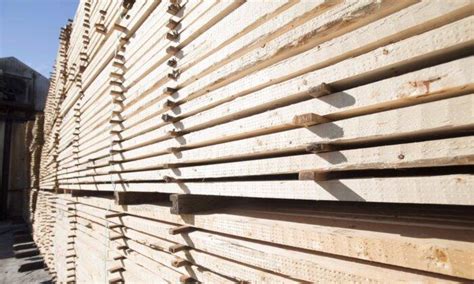 B.C. and Ottawa applaud NAFTA decision on U.S. softwood lumber duties