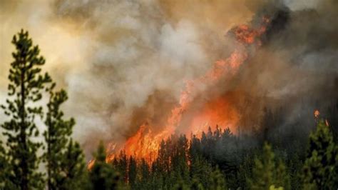 B.C. crews hopeful of forecasted heavy rain dampening massive Donnie Creek wildfire