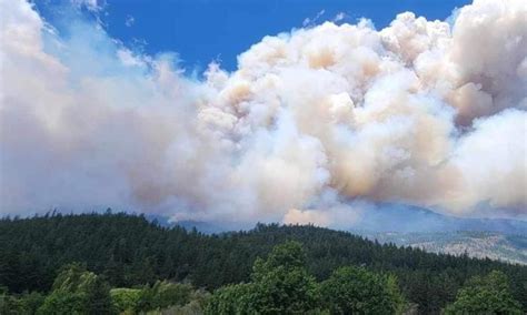 B.C. firefighters bolstered by international help work to tame dozens of wildfires